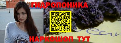 мяу мяу мука Кунгур