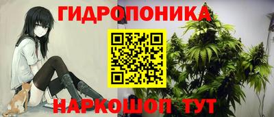 мяу мяу мука Кунгур