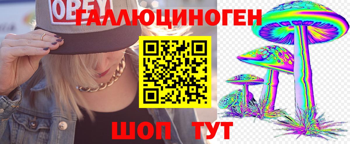 Галлюциногенные грибы Psilocybe  Вход с VPN  магазин  наркотиков  Кимовск 
